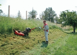 Mulčovač VARI TAJFUN 52