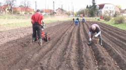 Nosič hrobkovacích radlic VARI NM1-001 a 2 hrobkovací radlice VARI SV-1